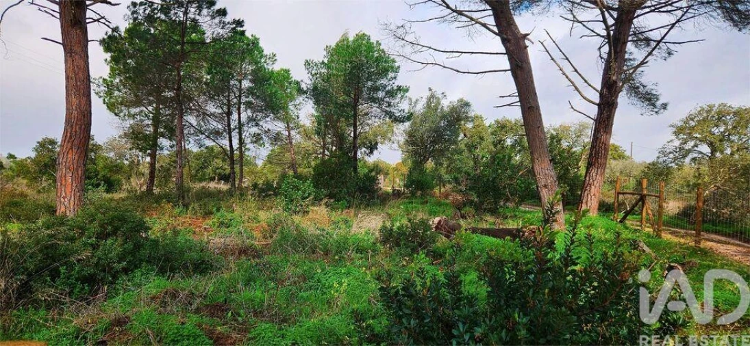 Terreno para Venda em Bensafrim e Barão de São João Foto 4