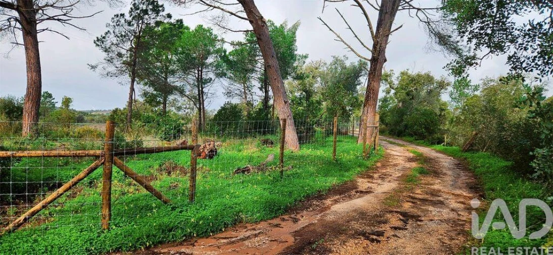 Terreno para Venda em Bensafrim e Barão de São João Foto 11