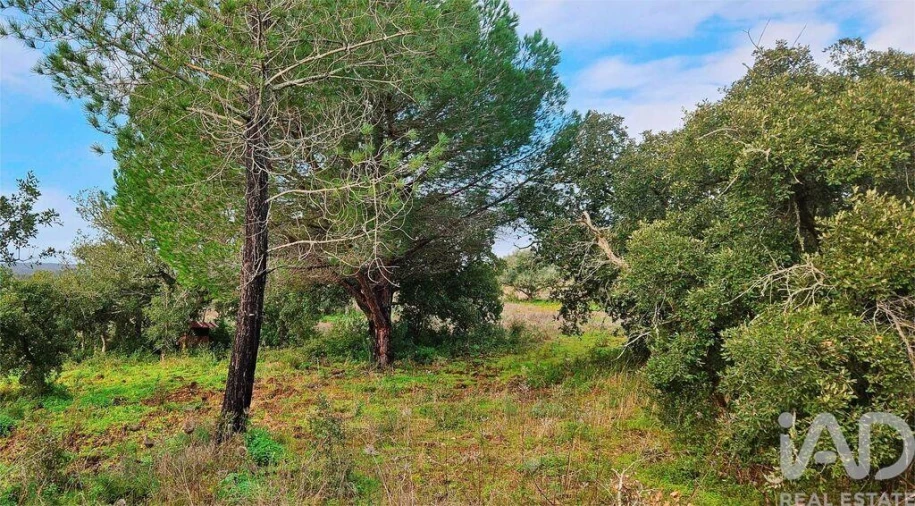 Terreno para Venda em Bensafrim e Barão de São João Foto 2