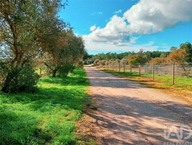 Terreno para Venda em Bensafrim e Barão de São João Foto 18