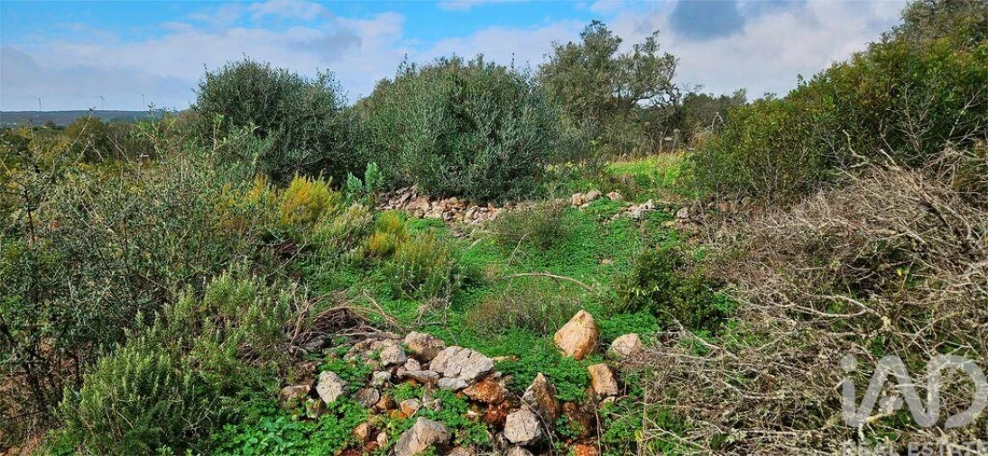 Terreno para Venda em Bensafrim e Barão de São João Foto 5