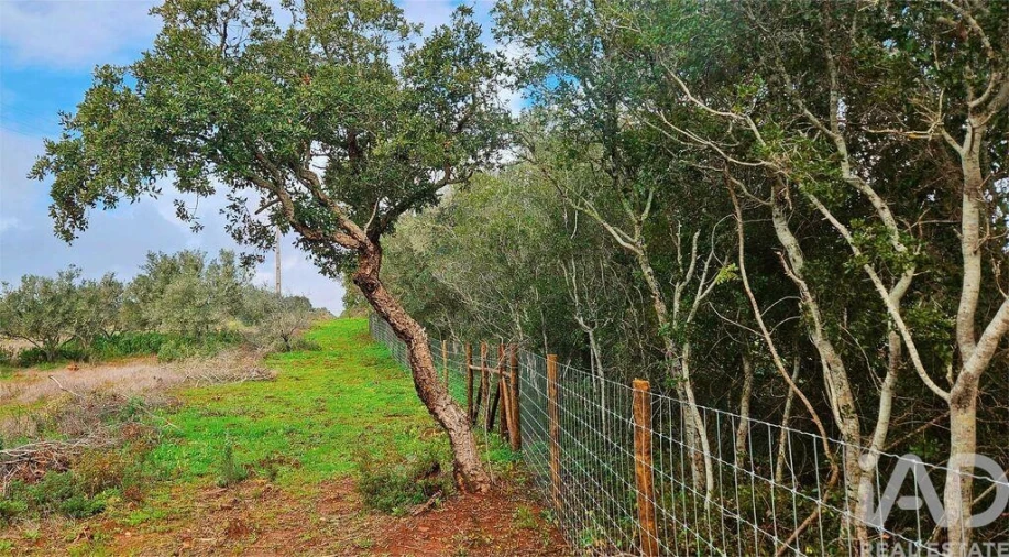 Terreno para Venda em Bensafrim e Barão de São João Foto 19