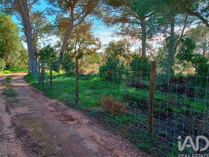 Terreno para Venda em Bensafrim e Barão de São João Foto 12
