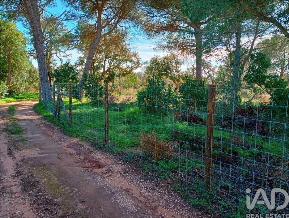 Terreno para Venda em Bensafrim e Barão de São João Foto 12