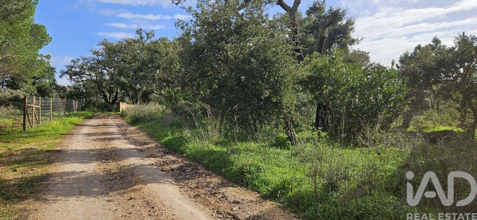 Terreno para Venda em Bensafrim e Barão de São João Foto 13