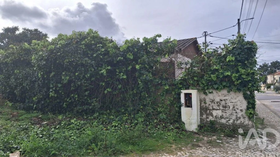Terreno para Venda em Quinta do Conde Foto 10