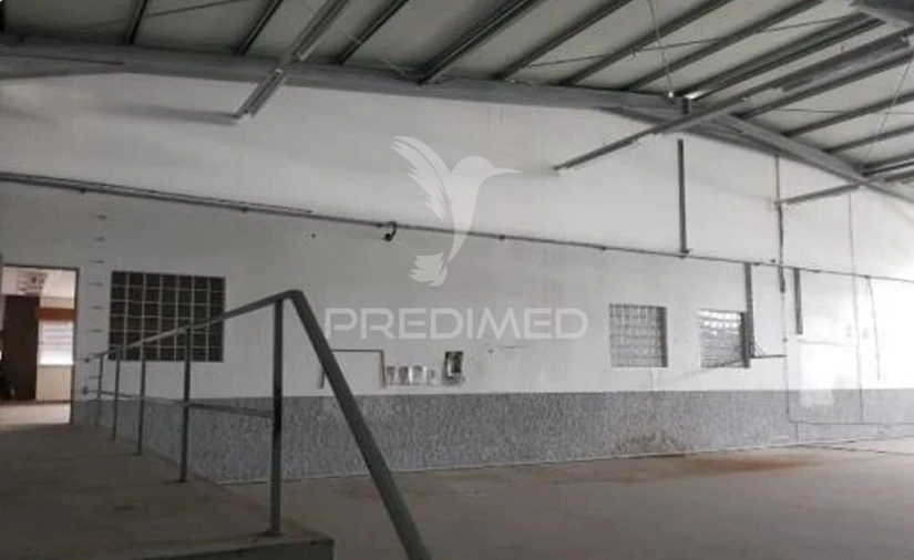 Armazém para Venda em Muge Foto 15