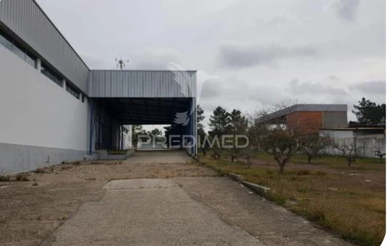 Armazém para Venda em Muge Foto 10