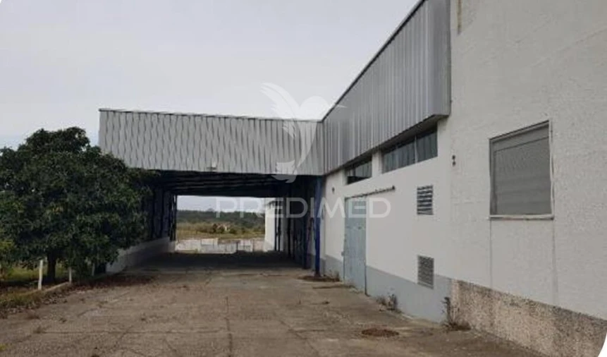 Armazém para Venda em Muge Foto 9