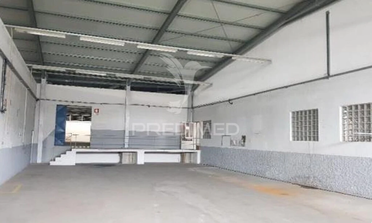 Armazém para Venda em Muge Foto 19