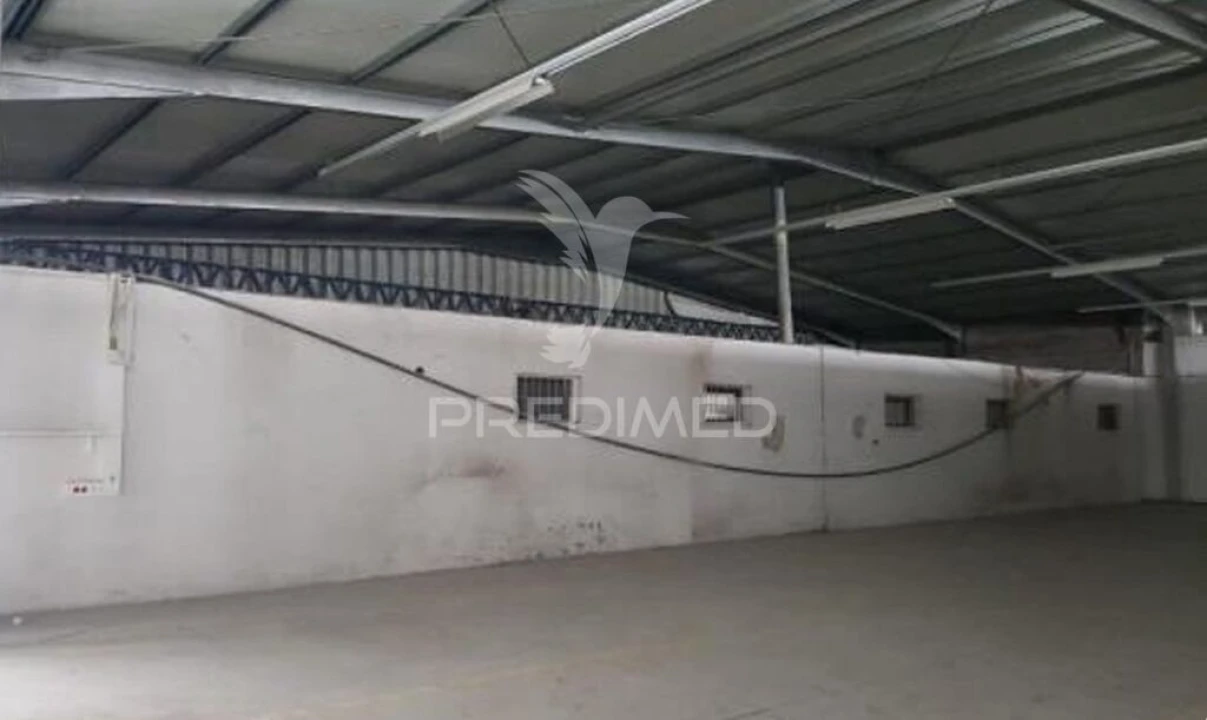 Armazém para Venda em Muge Foto 18