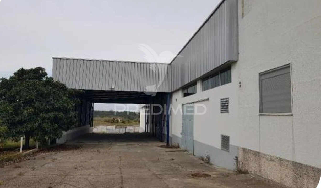 Armazém para Venda em Muge Foto 9