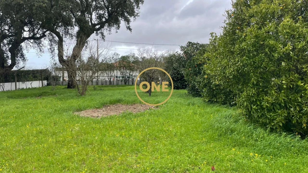 Moradia T3 para Venda em Glória do Ribatejo e Granho Foto 29