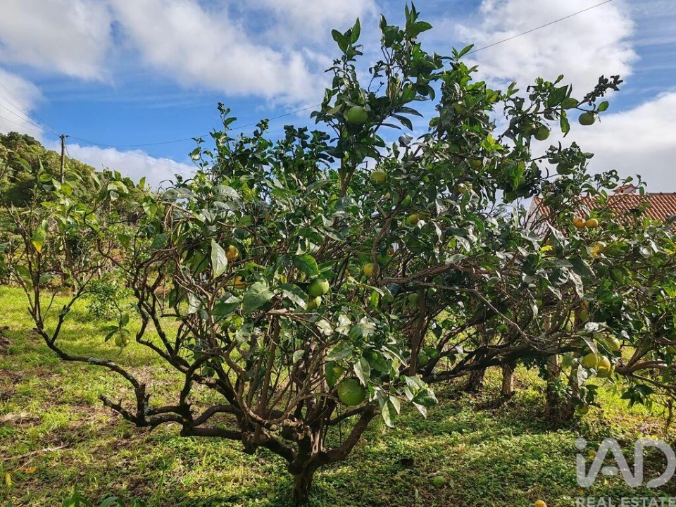 Moradia T5 para Venda em Lajes do Pico Foto 30