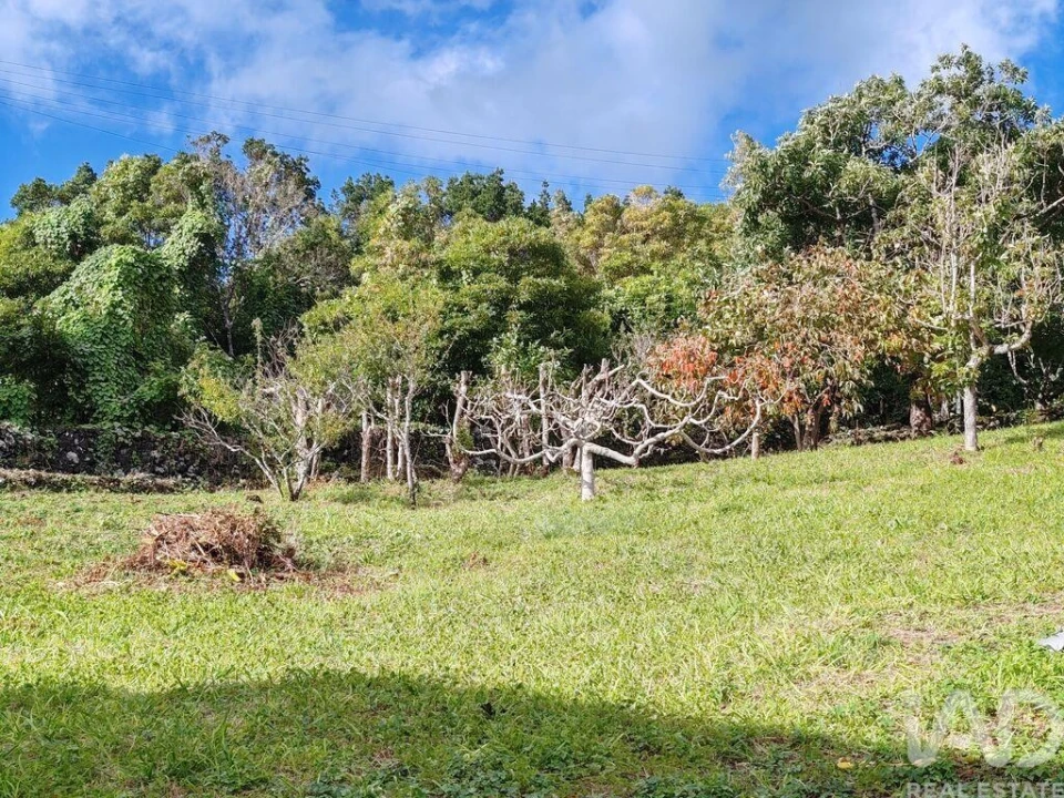 Moradia T5 para Venda em Lajes do Pico Foto 31