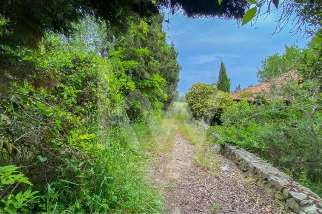 Loja para Venda em União das Freguesias de Setúbal Foto 35