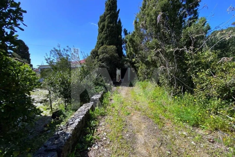 Loja para Venda em União das Freguesias de Setúbal Foto 6