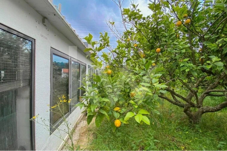 Loja para Venda em União das Freguesias de Setúbal Foto 24