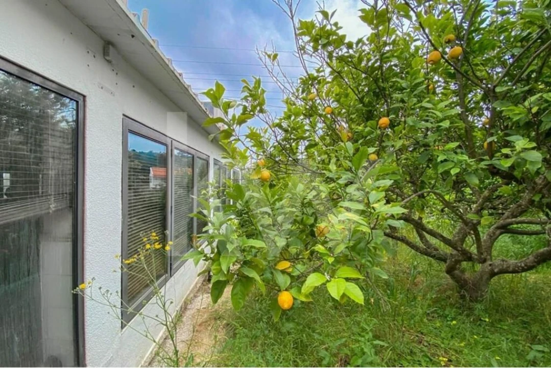 Loja para Venda em União das Freguesias de Setúbal Foto 24
