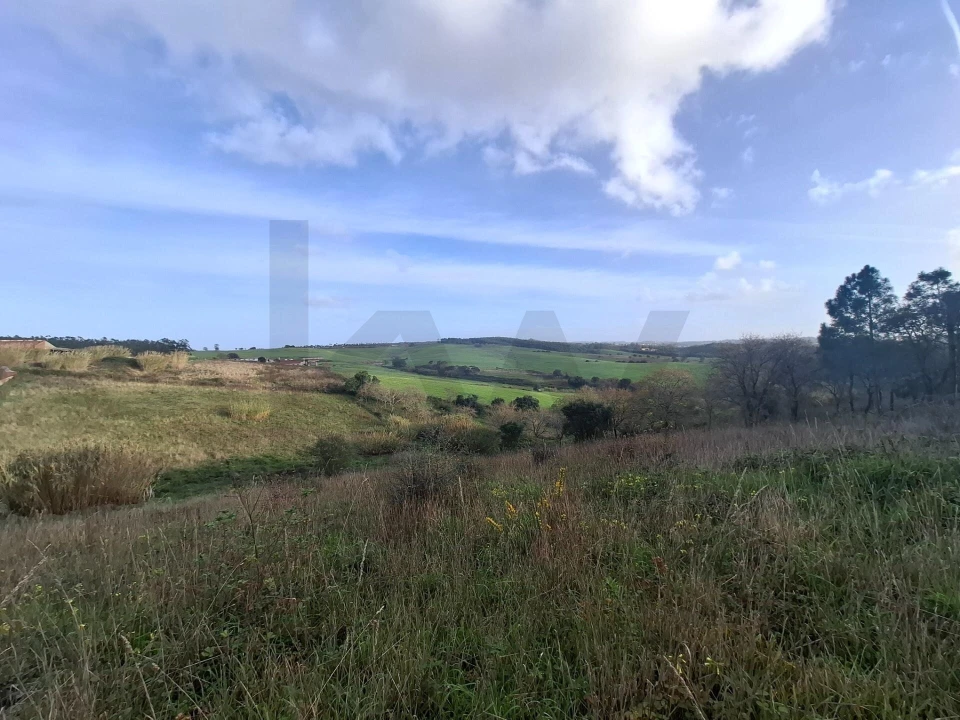 Terreno para Venda em Santo Isidoro Foto 11
