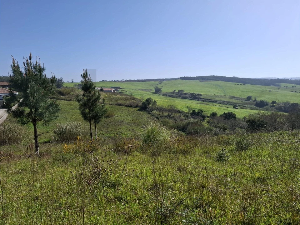 Terreno para Venda em Santo Isidoro Foto 16