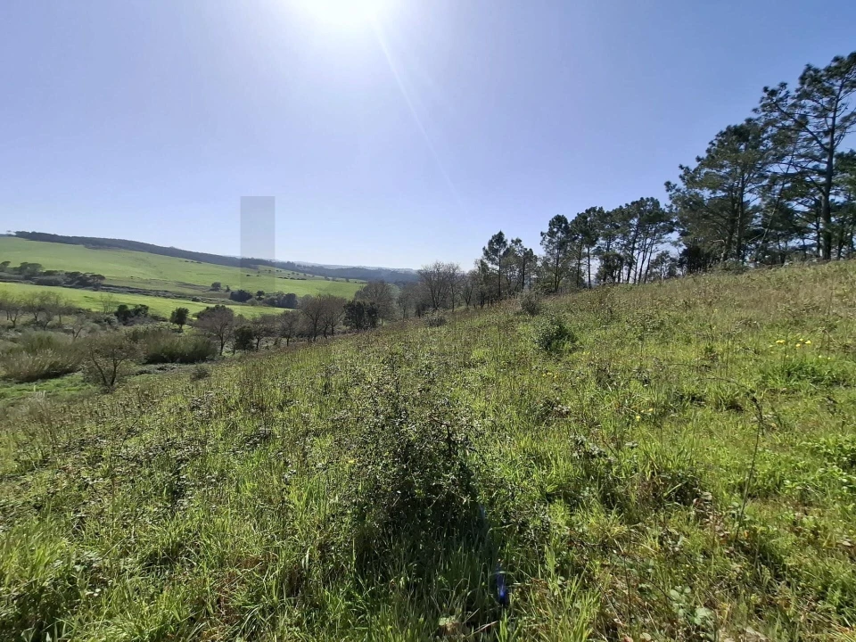 Terreno para Venda em Santo Isidoro Foto 19