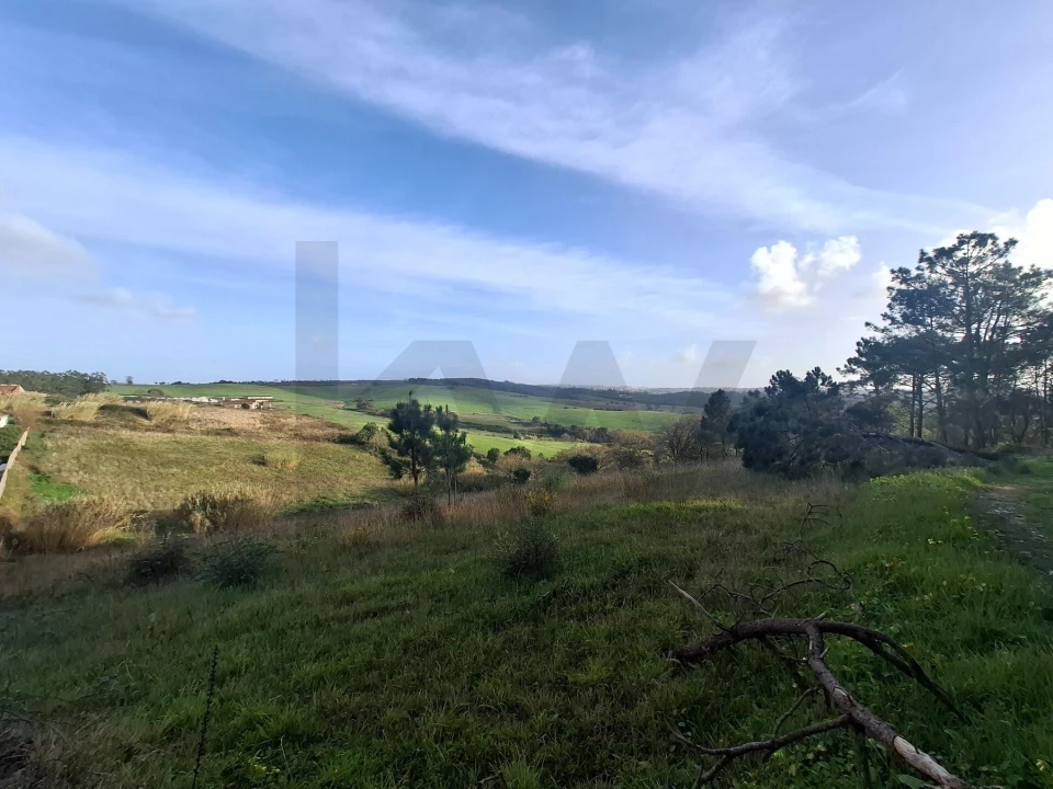 Terreno para Venda em Santo Isidoro Foto 8