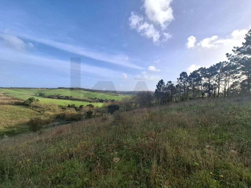Terreno para Venda em Santo Isidoro Foto 10
