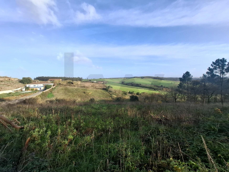 Terreno para Venda em Santo Isidoro Foto 3