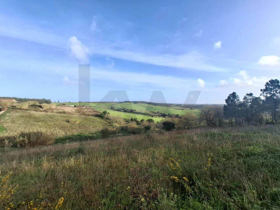 Terreno para Venda em Santo Isidoro Foto 14