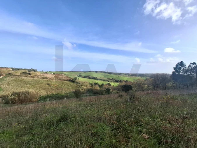 Terreno para Venda em Santo Isidoro Foto 9