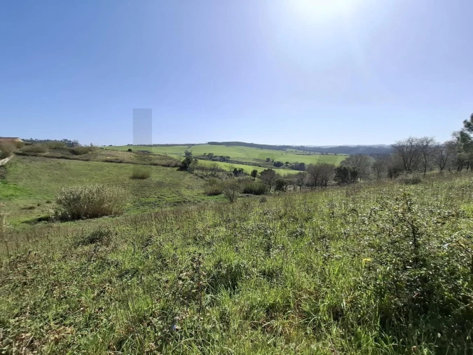 Terreno para Venda em Santo Isidoro Foto 20