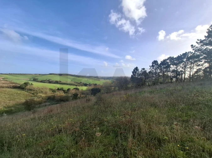 Terreno para Venda em Santo Isidoro Foto 10