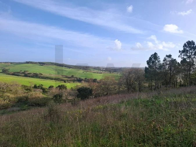 Terreno para Venda em Santo Isidoro Foto 7