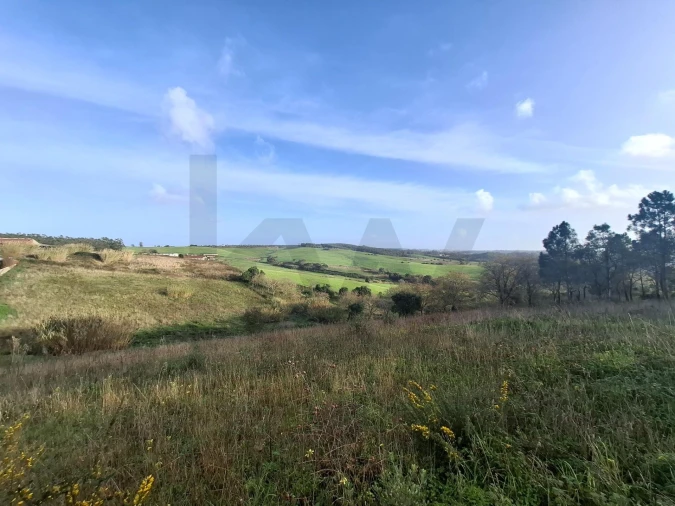 Terreno para Venda em Santo Isidoro Foto 14