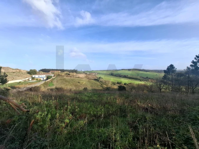 Terreno para Venda em Santo Isidoro Foto 6