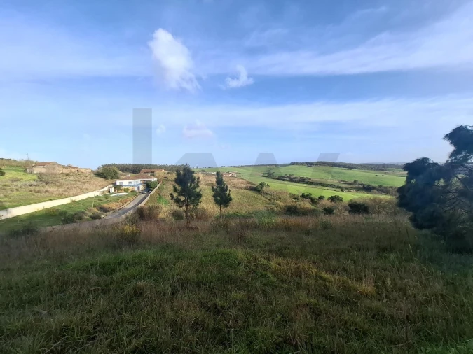 Terreno para Venda em Santo Isidoro Foto 5