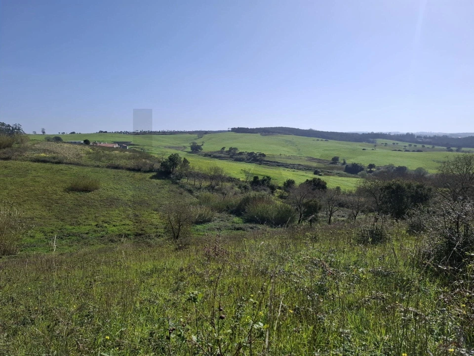 Terreno para Venda em Santo Isidoro Foto 15