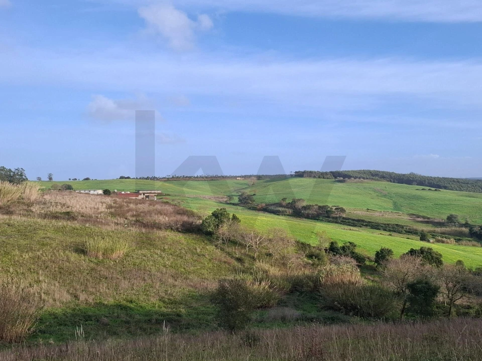 Terreno para Venda em Santo Isidoro Foto 13
