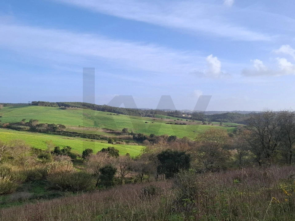 Terreno para Venda em Santo Isidoro Foto 12