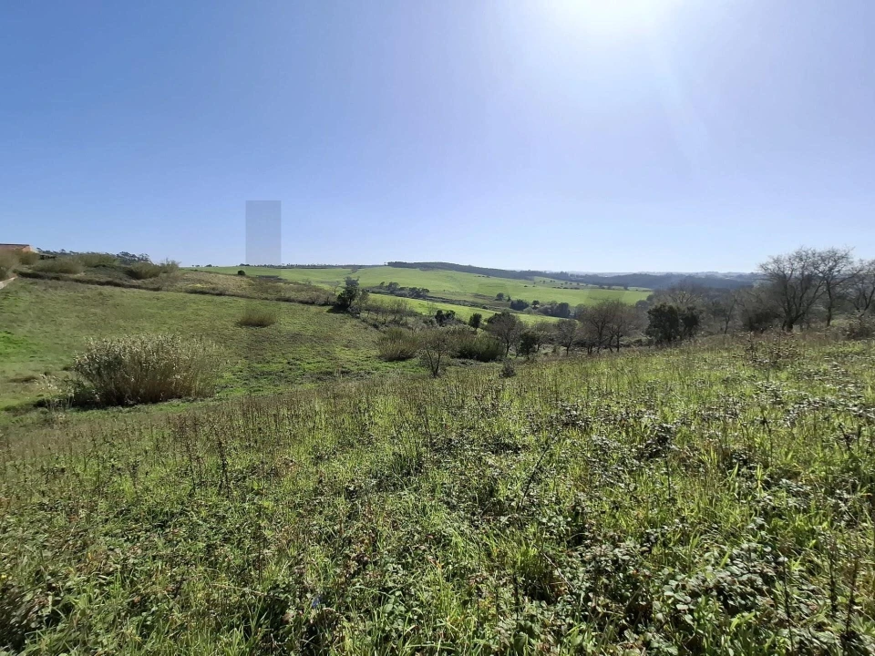 Terreno para Venda em Santo Isidoro Foto 18