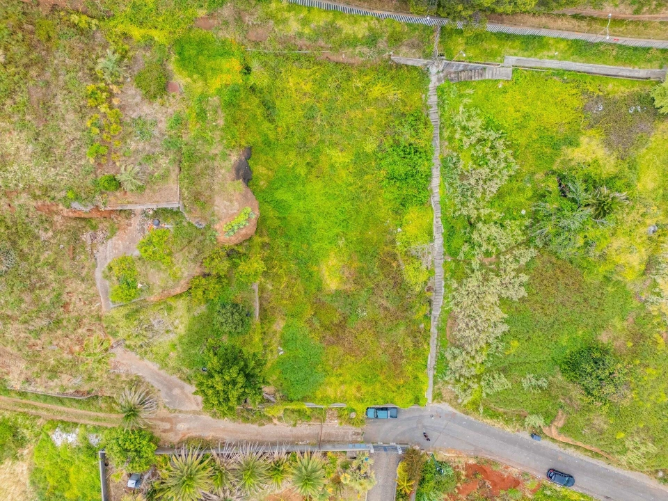 Terreno para Venda em São Martinho Foto 7