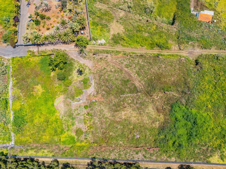 Terreno para Venda em São Martinho Foto 20