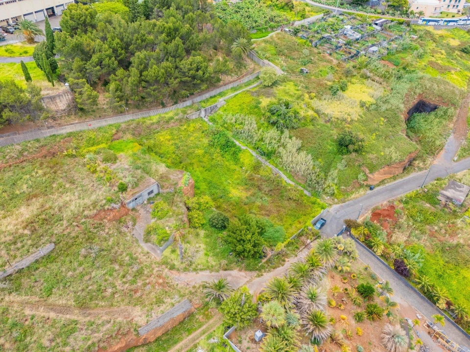 Terreno para Venda em São Martinho Foto 15