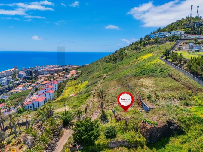 Terreno para Venda em São Martinho Foto 31