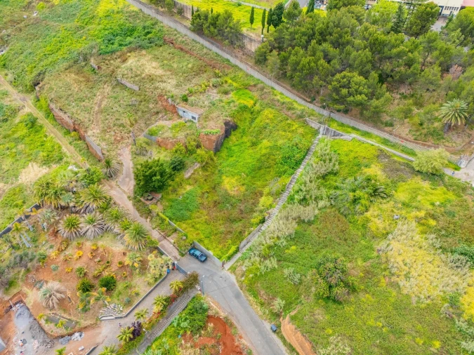 Terreno para Venda em São Martinho Foto 13