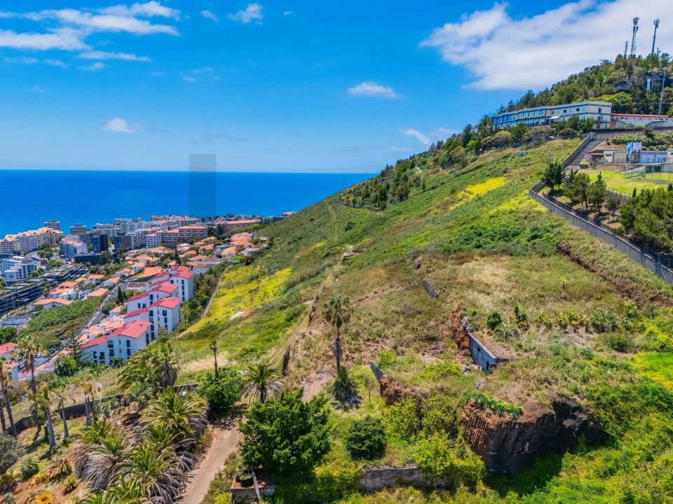 Terreno para Venda em São Martinho Foto 33