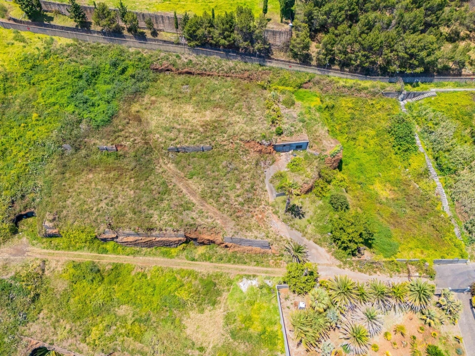 Terreno para Venda em São Martinho Foto 18
