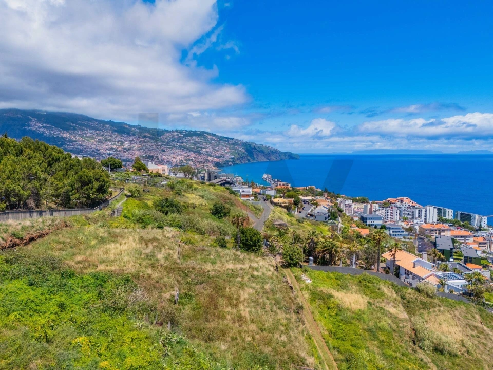 Terreno para Venda em São Martinho Foto 34