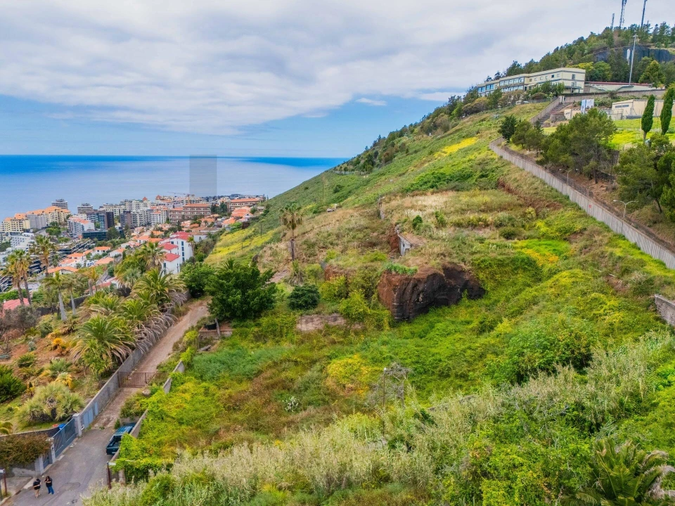 Terreno para Venda em São Martinho Foto 5